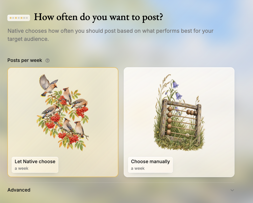 Native.no Autopilot setup: posting frequency choice between Let Native choose and Choose manually