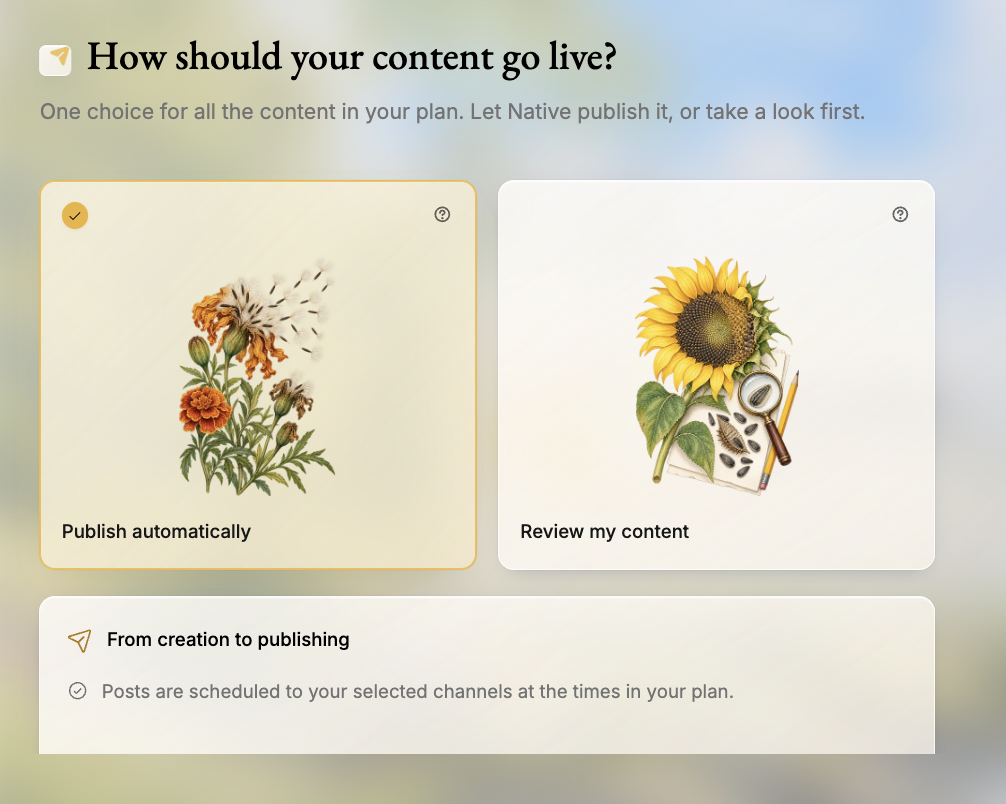 Native.no Autopilot setup: publish automatically or review content first
